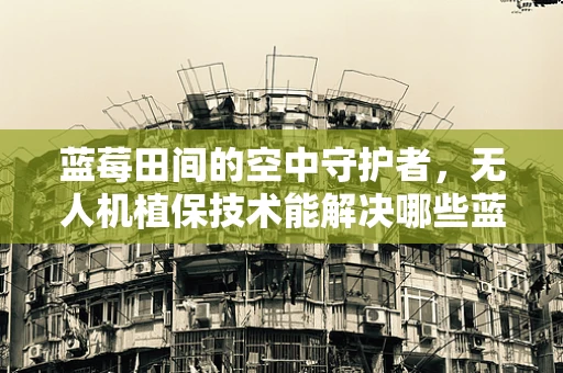 蓝莓田间的空中守护者，无人机植保技术能解决哪些蓝莓种植难题？