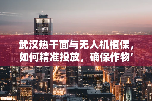 武汉热干面与无人机植保，如何精准投放，确保作物‘面面俱到’？