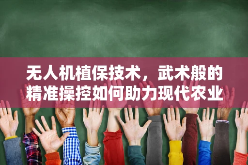 无人机植保技术，武术般的精准操控如何助力现代农业？