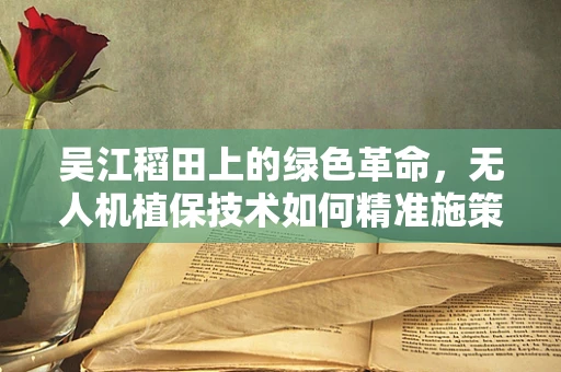 吴江稻田上的绿色革命，无人机植保技术如何精准施策？