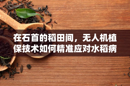 在石首的稻田间，无人机植保技术如何精准应对水稻病虫害？