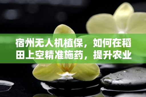 宿州无人机植保，如何在稻田上空精准施药，提升农业效率？