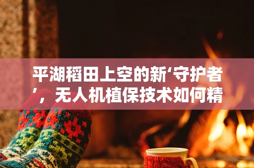 平湖稻田上空的新‘守护者’，无人机植保技术如何精准施策？