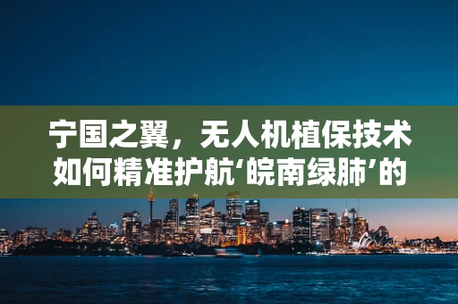 宁国之翼，无人机植保技术如何精准护航‘皖南绿肺’的未来？
