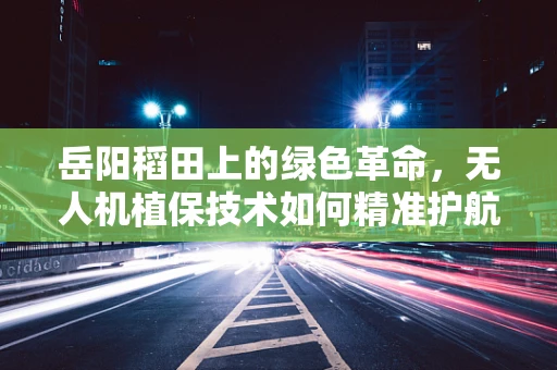 岳阳稻田上的绿色革命，无人机植保技术如何精准护航？