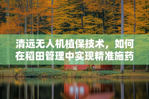清远无人机植保技术，如何在稻田管理中实现精准施药？