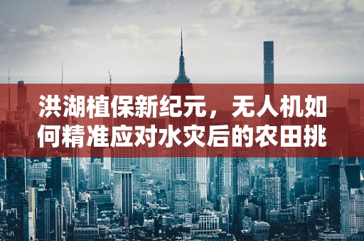 洪湖植保新纪元，无人机如何精准应对水灾后的农田挑战？