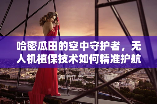 哈密瓜田的空中守护者，无人机植保技术如何精准护航？