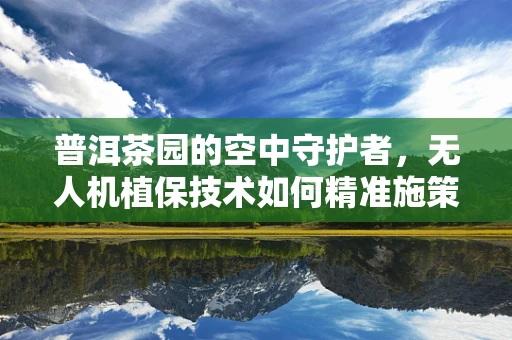 普洱茶园的空中守护者，无人机植保技术如何精准施策？