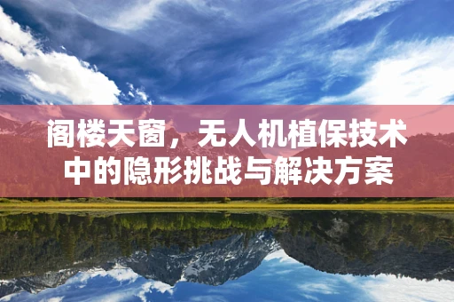 阁楼天窗，无人机植保技术中的隐形挑战与解决方案