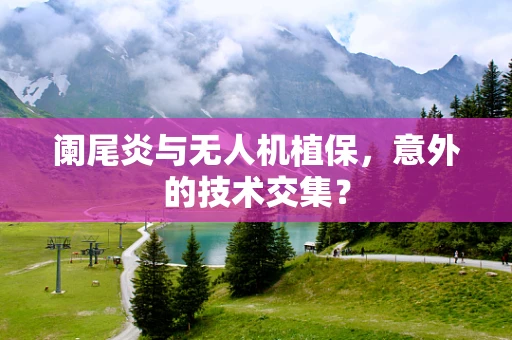 阑尾炎与无人机植保，意外的技术交集？