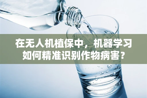 在无人机植保中，机器学习如何精准识别作物病害？