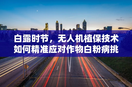 白露时节，无人机植保技术如何精准应对作物白粉病挑战？