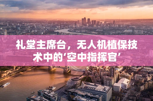 礼堂主席台，无人机植保技术中的‘空中指挥官’