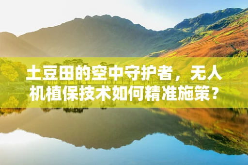 土豆田的空中守护者，无人机植保技术如何精准施策？