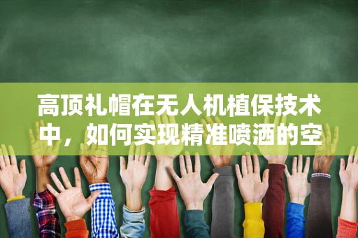 高顶礼帽在无人机植保技术中，如何实现精准喷洒的空中礼遇？