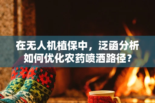 在无人机植保中，泛函分析如何优化农药喷洒路径？