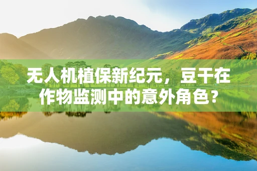 无人机植保新纪元，豆干在作物监测中的意外角色？