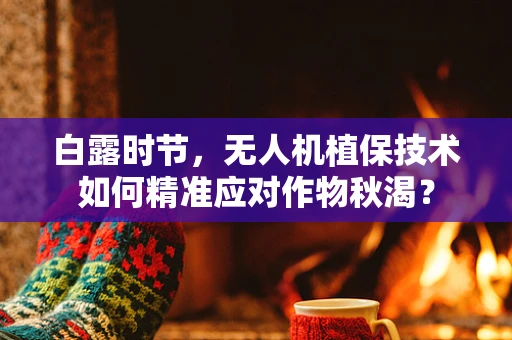白露时节，无人机植保技术如何精准应对作物秋渴？