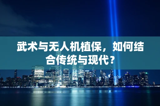 武术与无人机植保，如何结合传统与现代？