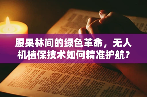 腰果林间的绿色革命，无人机植保技术如何精准护航？
