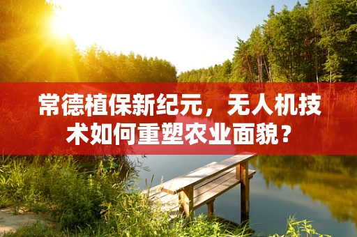 常德植保新纪元，无人机技术如何重塑农业面貌？