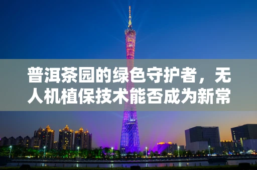 普洱茶园的绿色守护者，无人机植保技术能否成为新常态？