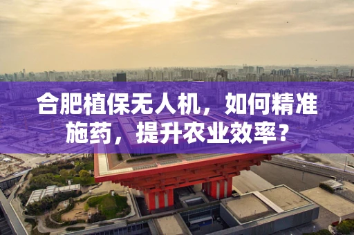合肥植保无人机，如何精准施药，提升农业效率？
