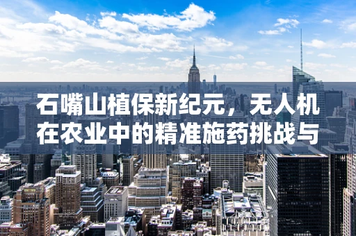 石嘴山植保新纪元，无人机在农业中的精准施药挑战与机遇
