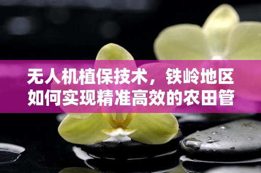 无人机植保技术，铁岭地区如何实现精准高效的农田管理？