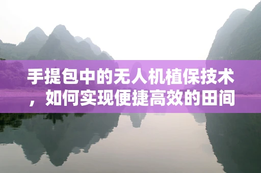 手提包中的无人机植保技术，如何实现便捷高效的田间管理？