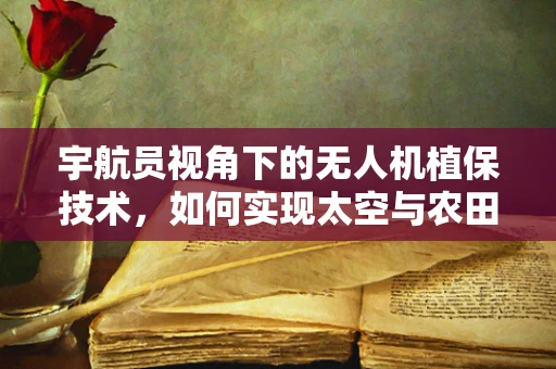 宇航员视角下的无人机植保技术，如何实现太空与农田的无缝对接？
