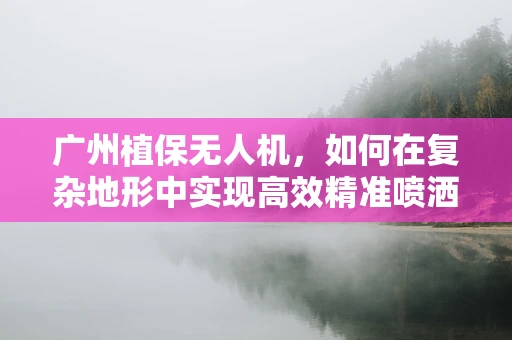广州植保无人机，如何在复杂地形中实现高效精准喷洒？