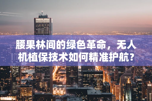 腰果林间的绿色革命，无人机植保技术如何精准护航？