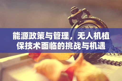 能源政策与管理，无人机植保技术面临的挑战与机遇