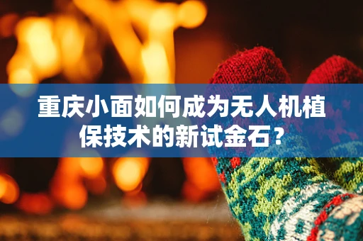 重庆小面如何成为无人机植保技术的新试金石？