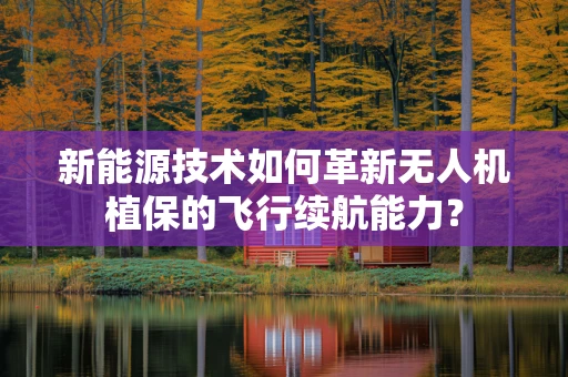 新能源技术如何革新无人机植保的飞行续航能力？