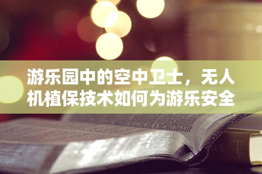 游乐园中的空中卫士，无人机植保技术如何为游乐安全保驾护航？