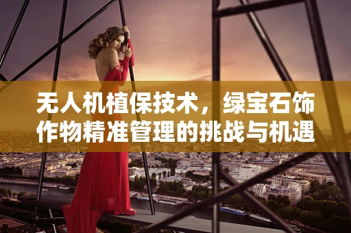 无人机植保技术，绿宝石饰作物精准管理的挑战与机遇？