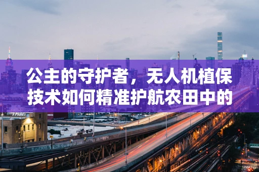 公主的守护者，无人机植保技术如何精准护航农田中的小公主？