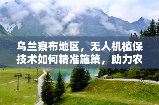 乌兰察布地区，无人机植保技术如何精准施策，助力农业绿色发展？