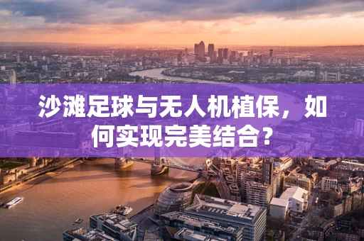 沙滩足球与无人机植保，如何实现完美结合？