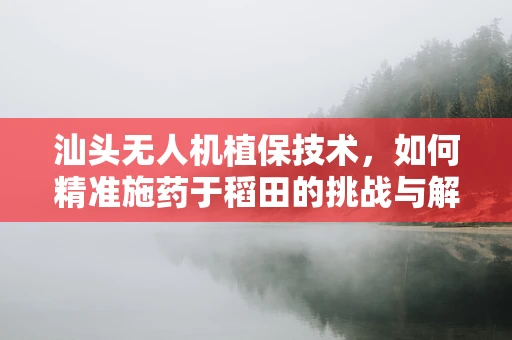 汕头无人机植保技术，如何精准施药于稻田的挑战与解决方案？