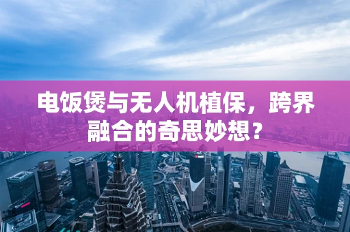 电饭煲与无人机植保，跨界融合的奇思妙想？
