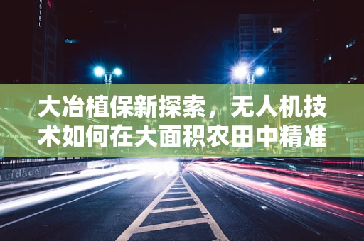 大冶植保新探索，无人机技术如何在大面积农田中精准施药？