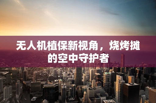 无人机植保新视角，烧烤摊的空中守护者