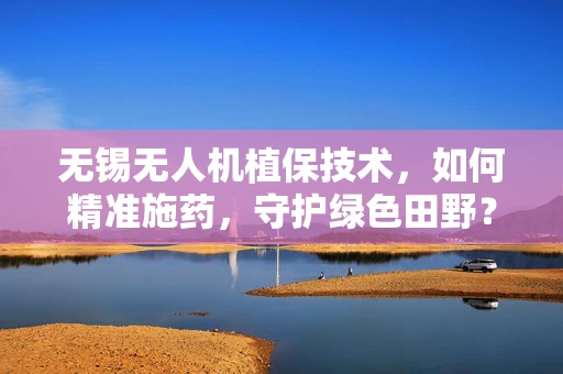 无锡无人机植保技术，如何精准施药，守护绿色田野？