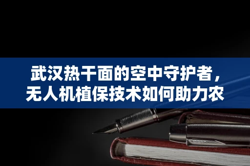 武汉热干面的空中守护者，无人机植保技术如何助力农业智能化？