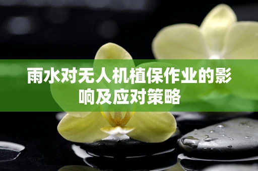 雨水对无人机植保作业的影响及应对策略