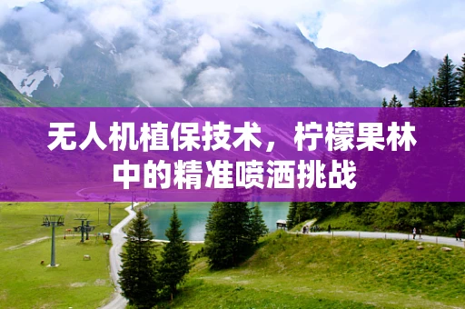 无人机植保技术，柠檬果林中的精准喷洒挑战